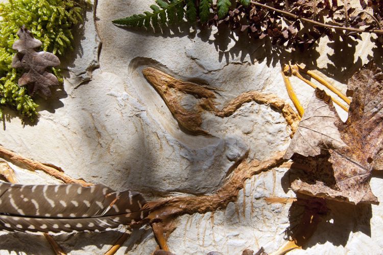 Archeopteryx replica
