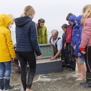 BlueLinked stekelroggen uitzetten